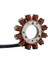 21003-0148 Kawasaki Için Magneto Stator KX250F KX250 KX252 KX450F KX450 21003-0102 21003-0147 21003-0082 21003-0168 (Yurt Dışından) 5
