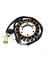 Stator Magneto Yamaha Bigbear YFM400 2WD 4WD Savaşçı YFM350 5NF-81410-00-00 Motosiklet Aksesuarları (Yurt Dışından) 5