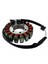 Kawasaki ER650 Er-6f EX650 Nınja ZX600 Için Motosiklet Magneto Stator Jeneratör Bobini (Yurt Dışından) 3