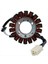 Kawasaki ER650 Er-6f EX650 Nınja ZX600 Için Motosiklet Magneto Stator Jeneratör Bobini (Yurt Dışından) 5