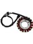 Kawasaki Ninja ZX6R Zx-6 ZRX400 Için Motosiklet Stator Bobini Zrx-Iı ZZR400 ZZR500 ZX400 ZX500 ZZR600 21003-1214 21003-1368 (Yurt Dışından) 3