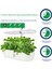 Hidroponik Topraksız 12 Bölme Bitki Yetiştirme Kiti 3 Mod 139 LED Tam Spekturum Bahçe Kit 2
