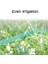 Yağmurlama Sağanak Hortumu, Çim Fideleri Tesisleri Için 2 Metre Ince Püskürtme Sulama Borusu, Sulama Yağmurlama Sistemi 3