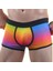 Renkli Erkek Boxer 2