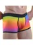 Renkli Erkek Boxer 3