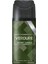 Verdure Secret Jungle Deodorant 150ML 2