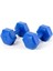 6 kg Pilastik Dambıl Set Mavi 1