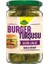 Kühne Halka Dilimli Burger Turşusu 530 gr 1