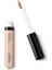 Likit Kapatıcı - Full Coverage Dark Circles Concealer 06 - Hazelnut 1