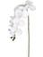 Orkide Beyaz 95 Cm. 1