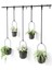 Triflora, Asma Çiçek Saksısı, Duvar, Duvar ve Tavan Montajı Için Çiçek Askısı, 5'li Set, Siyah 1