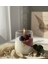 Çilekli Panna Cotta & Orman Meyveleri Aromalı Gourmet Mum - Dekoratif Cam Bardak 2