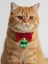 Christmas Tree Yılbaşı Kedi Papyon Tasması | Kırmızı Fiyonk Boyun Aksesuarı | Noel Temalı Kedi Süsü 1