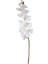Çiçek Orkide Beyaz 115 Cm. 1