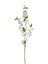 Çiçek Dalı Beyaz 120 Cm. 1
