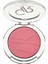 Golden Rose Powder Blush No:17 1 Paket 2