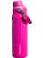 Aerolight Iceflow Fast Flow Soğuk Su Termosu 0,70 Lt Violet Blossom 1