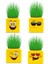 Çimoji 4 Figürlü Emoji Küp Çim Adam 1
