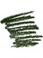 Alıx Avıen Suya Dayanıklı Yoğun Pigmentli Kremsi Kolay Sürüm Yeşil Göz Kalemi - Eyeliner Pencil Green 2