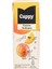Cappy Kayısı Nektarı Karton Kutu 27X200 ml 1