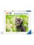 500P Puzzle Kedi Foto, Yapboz 1