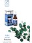 Beuta Okaliptus Yağı% 100 Doğal 20 ml 2