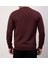 Basıc Bordo Regular Fit Bisiklet Yaka 3
