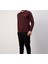 Basıc Bordo Regular Fit Bisiklet Yaka 5