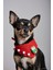 Christmas Squirrel Yılbaşı Köpek Bandanası | Ponponlu Kırmızı Noel Boyun Aksesuarı | Sevimli Sincap Figürlü Köpek Süsü | Küçük Irklar Için 3