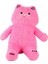 4905 Pembe Renk 55 cm Kedi 3