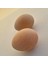 Dıy Waldorf Ahşap Yumurta Egg 2 Adet 1