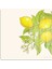 Cam Kesme Tahtası ve Sunumluk Kare Vintage Lemon 30X30 cm 2