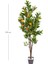Yapay Mandalina Ağacı Gerçek Dokulu Turuncu-Yeşil 150 Cm. 2