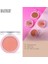 Callista Color Art Blush Allık 180 Pink Perfection 2