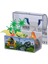 104342250 Dinos In Treasure Box 2