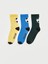 Yeni Sezon Desenli Erkek Çocuk Soket Çorap 3'lü 1
