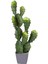Yapay Kaktüs Saksılı 2 Gövde 72 Cm. 1