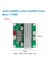 Hıfı Stereo Dijital Ses Amplifikatör Kartı TPA3116 Sınıf D Amplifikatör Modülü 100W Mono Kanal Amplifikatörü (Yurt Dışından) 5