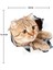 (12 Adet) 3D Kedi Araba Çıkartmaları Pencere, Kamyon, Araba, Dizüstü Veya Ipad Için Çıkartma / Çıkartma (Yurt Dışından) 3
