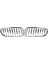 Ön Çit Izgara Izgara Abs Chrome For-Bmw Z4 E85 E86 2003-2009 51117117757 511171177758 (Yurt Dışından) 1