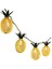 EE34YT1428 Dekoratif Pilli Ananas Pilli Şerit LED Işık, 1 Metre 3