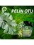 Pelin Otu Kapsül 1