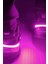 LED Pembe Işıklı Ayakkabı Takılabilir Aksesuar 3