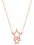 Rose Altın Kaplama Yıldız Gümüş Kolye 1