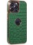 Iphone 14 Pro Kılıf Snake Kapak - Koyu Yeşil 1