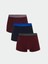 Yeni Sezon Standart Kalıp Pamuklu Esnek Erkek Boxer 3'lü 1