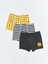 Yeni Sezon Baskılı Erkek Çocuk Boxer 3'lü 1