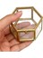 5x Cam Vintage Mücevher Kutusu Altın Geometrik Takı Ekran Organizatör Kutusu Ev Dekoratif Kutusu (Küçük) (Yurt Dışından) 1