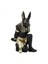 Reçine Anubis Tanrı Şarap Rafı Figürinler Modern Mısır Köpek Minyatür Heykelleri Hayvan Iç Ev Masası Dekor Heykel (Yurt Dışından) 1