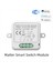 Matter Wifi Smart Switch 10A Akıllı Ev Otomasyonu Röle Modülü Tuya Akıllı Yaşam Homekit Alexa Google Home Için Çalışıyor (Yurt Dışından) 4